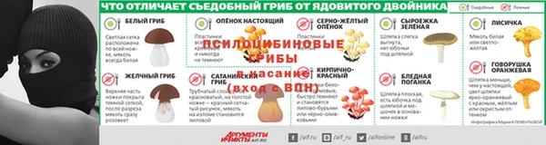 прущая мука Вяземский